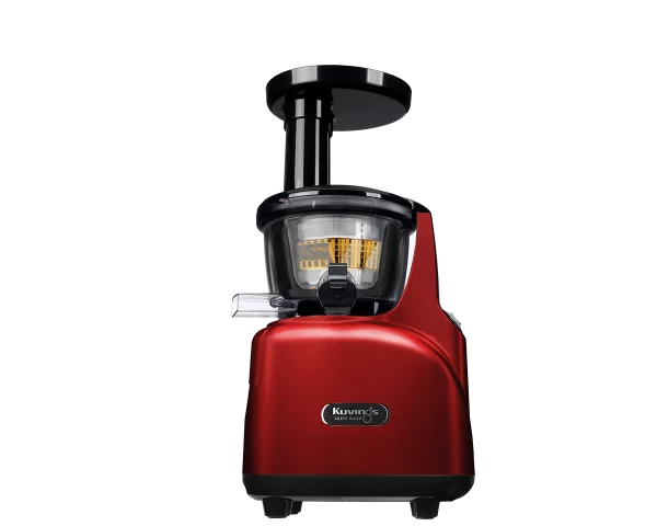 extracteur de jus vertical extracteur de jus vertical