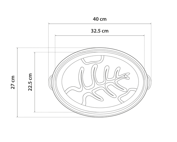 cocotte roaster 508 dimensions intérieures
