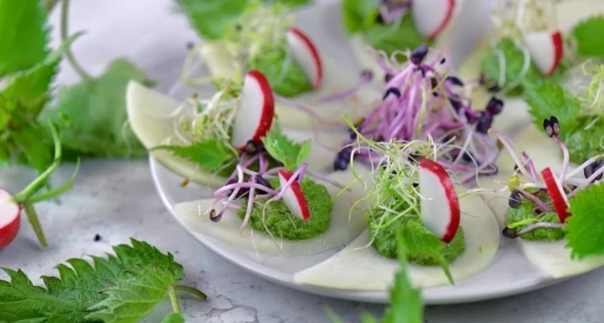 Le Pesto d'Orties
