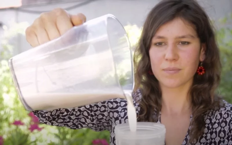 8 recettes de lait végétaux à faire à la maison
