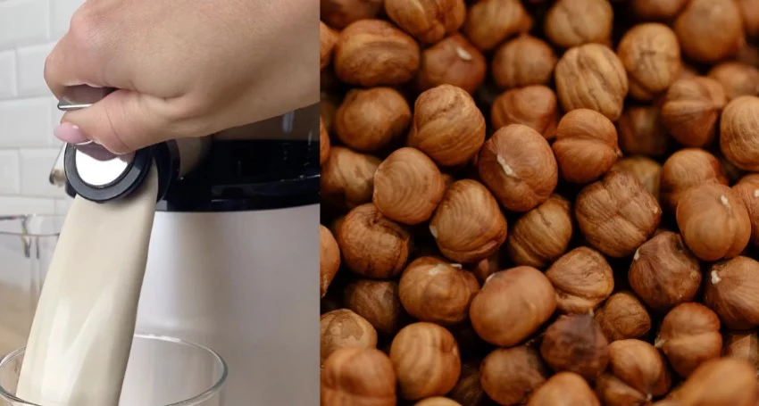 Lait végétal maison aux noisettes