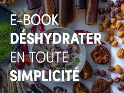 E-Book -17 recettes au déshydrateur